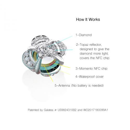 Digital Locket